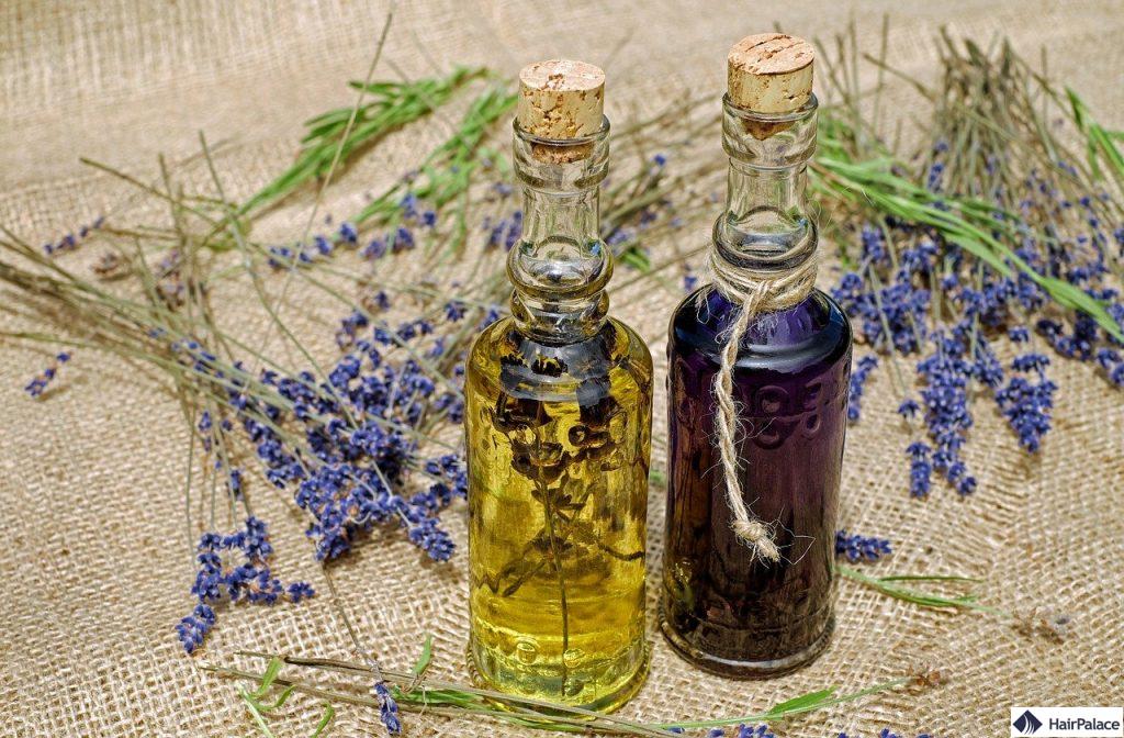 Lavendel Öl für das Haarwachstum