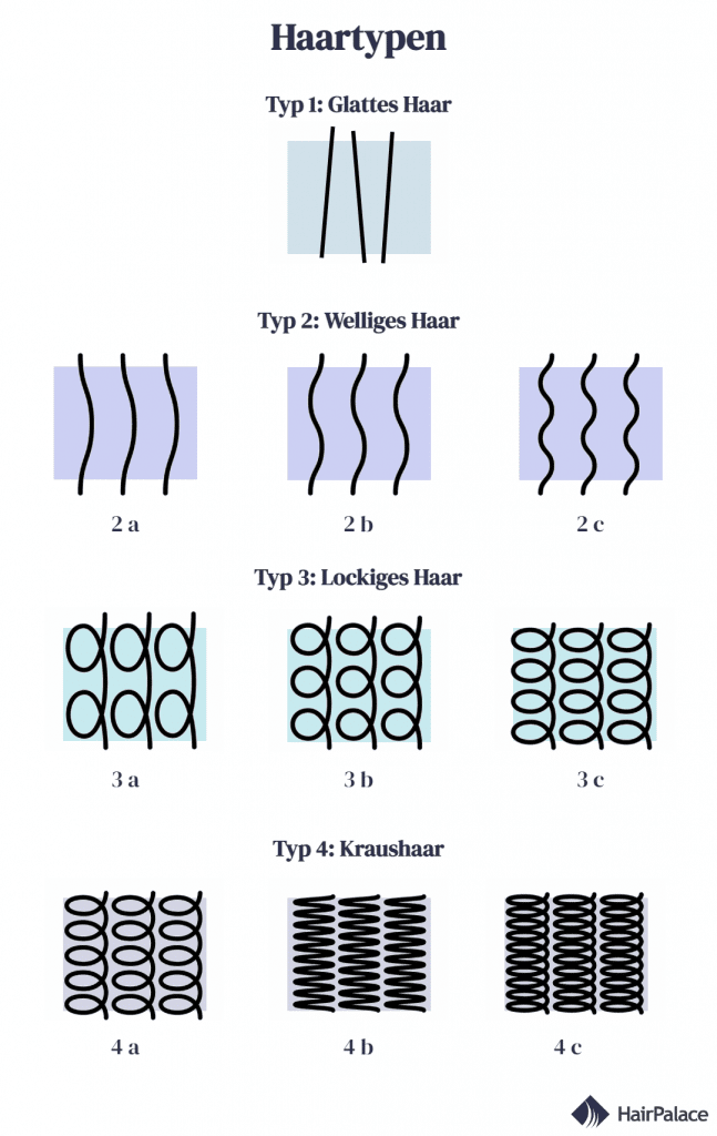 die verschiedenen Haartypen
