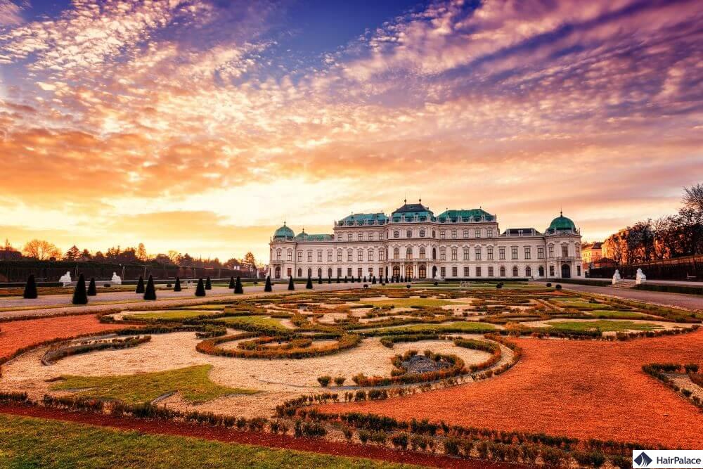 haartransplantation in wien top 10 kliniken 2024